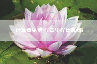 计算器免费(代驾里程计算器)