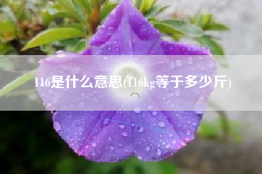 116是什么意思(116kg等于多少斤)