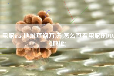电脑mac地址查询方法(怎么查看电脑的MAC地址)