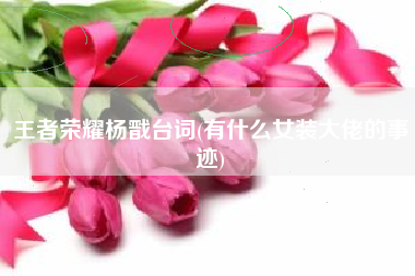 王者荣耀杨戬台词(有什么女装大佬的事迹)