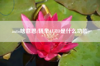 详细阅读:auto啥意思(轿车AUTO是什么功能) auto啥意思(轿车AUTO是什么功能)