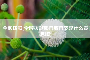 全额拨款(全额拨款跟自收自支是什么意思啊)