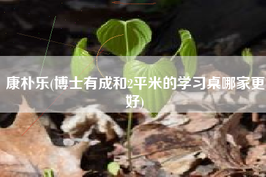 康朴乐(博士有成和2平米的学习桌哪家更好)