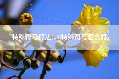 特殊符号打法(wifi特殊符号怎么打)