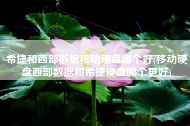 希捷和西部数据移动硬盘哪个好(移动硬盘西部数据和希捷硬盘哪个更好)