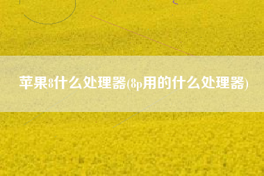 苹果8什么处理器(8p用的什么处理器)