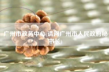 广州市政务中心(请问广州市人民政府秘书长)