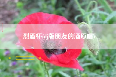 烈酒杯(dj版朋友的酒原唱)