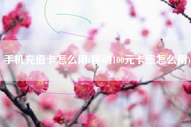 手机充值卡怎么用(移动100元卡密怎么用)