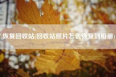 恢复回收站(回收站照片怎么恢复到相册)