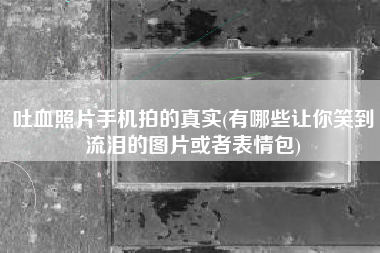吐血照片手机拍的真实(有哪些让你笑到流泪的图片或者表情包)