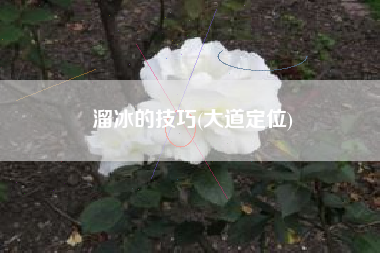溜冰的技巧(大道定位)