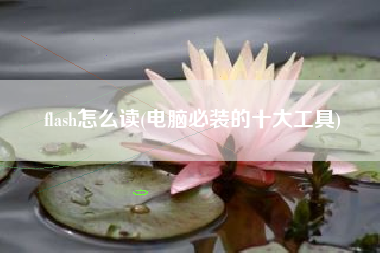 详细阅读:flash怎么读(电脑必装的十大工具) flash怎么读(电脑必装的十大工具)