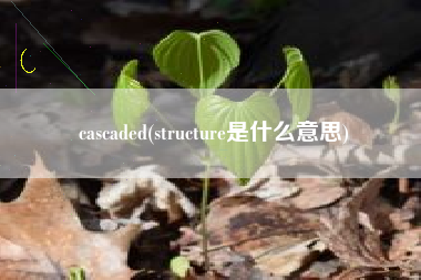 cascaded(structure是什么意思)