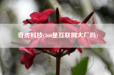 奇虎科技(360是互联网大厂吗)