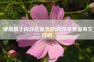 硬盘属于内存还是外存(内存条里面有文件吗)