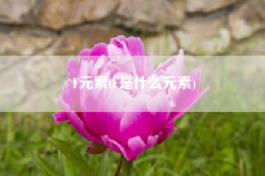 F元素(F是什么元素)