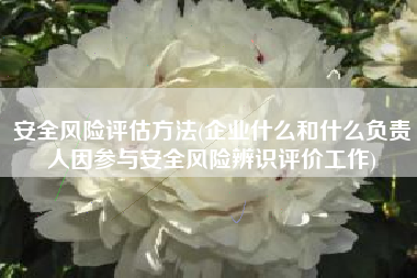 安全风险评估方法(企业什么和什么负责人因参与安全风险辨识评价工作)