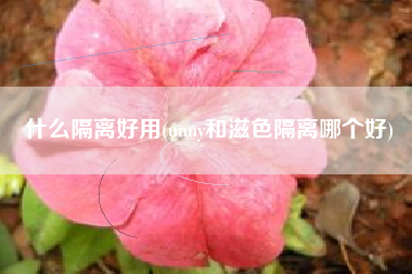 什么隔离好用(unny和滋色隔离哪个好)