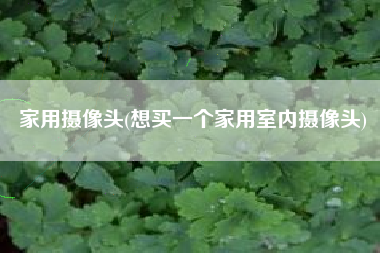 家用摄像头(想买一个家用室内摄像头)