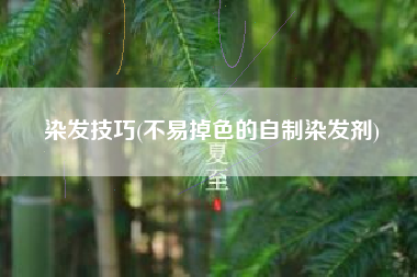 染发技巧(不易掉色的自制染发剂)