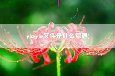 gbz(gbz文件是什么意思)