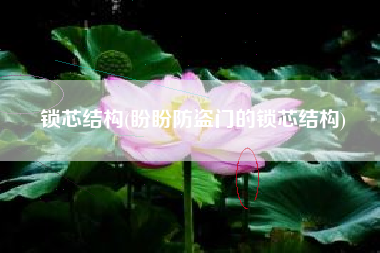 锁芯结构(盼盼防盗门的锁芯结构)