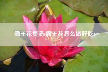 霸王花煲汤(霸王花怎么做好吃)