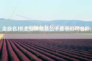 企业名片(企业微信怎么不显示公司名称)