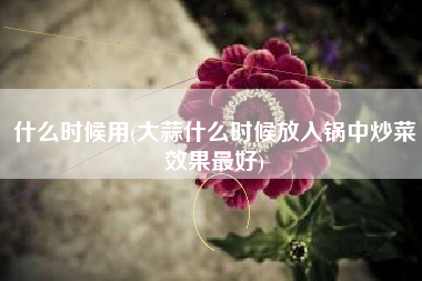 什么时候用(大蒜什么时候放入锅中炒菜效果最好)
