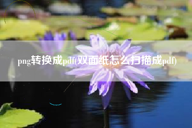 png转换成pdf(双面纸怎么扫描成pdf)
