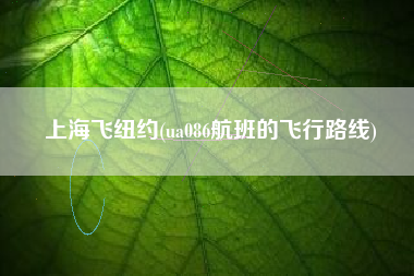 上海飞纽约(ua086航班的飞行路线)