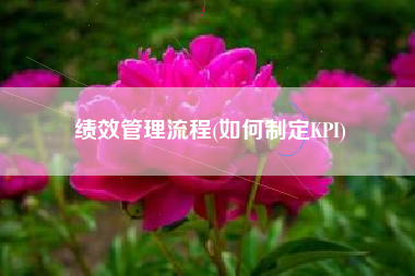 绩效管理流程(如何制定KPI)