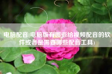 电脑配音(电脑版有哪些给视频配音的软件或者是需要哪些配音工具)