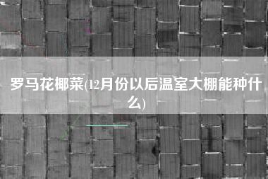 罗马花椰菜(12月份以后温室大棚能种什么)