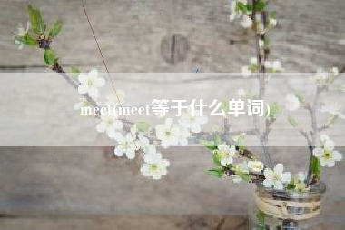 meet(meet等于什么单词)