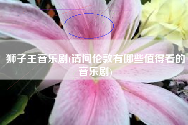 狮子王音乐剧(请问伦敦有哪些值得看的音乐剧)