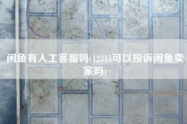 闲鱼有人工客服吗(12315可以投诉闲鱼卖家吗)