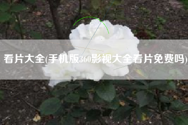 看片大全(手机版360影视大全看片免费吗)