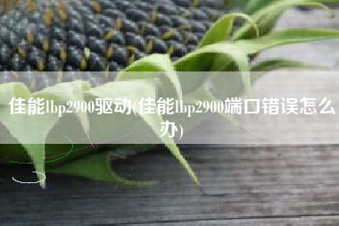 佳能lbp2900驱动(佳能lbp2900端口错误怎么办)