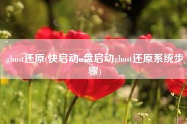 ghost还原(快启动u盘启动ghost还原系统步骤)