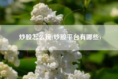炒股怎么玩(炒股平台有哪些)