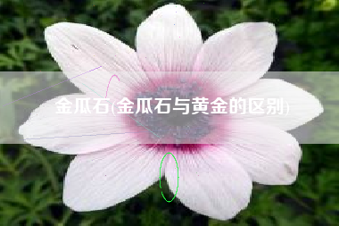 金瓜石(金瓜石与黄金的区别)