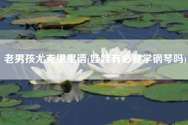老男孩尤克里里谱(娃娃有必要学钢琴吗)