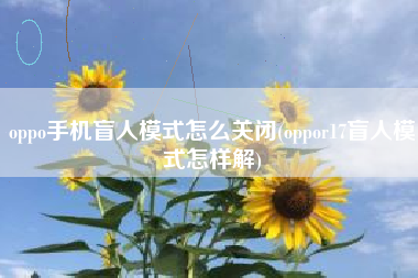 oppo手机盲人模式怎么关闭(oppor17盲人模式怎样解)