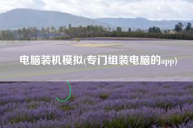 电脑装机模拟(专门组装电脑的app)