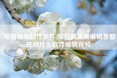 电脑视频制作软件(现在的视频编辑者都在用什么软件编辑视频)