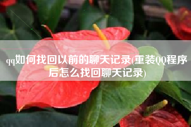 qq如何找回以前的聊天记录(重装QQ程序后怎么找回聊天记录)