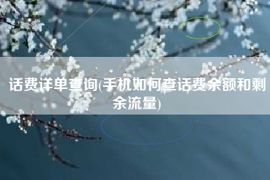 话费详单查询(手机如何查话费余额和剩余流量)