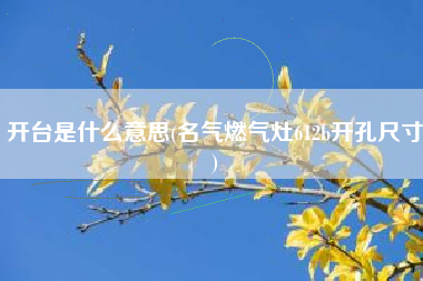 开台是什么意思(名气燃气灶612b开孔尺寸)